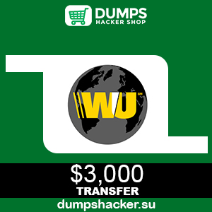 Western Union Money Transfer of $3,000